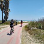 Albufera Highlights Loop Bike Tour with Boat Trip & Paella - Authentic Experiences and Insights from Reviewers