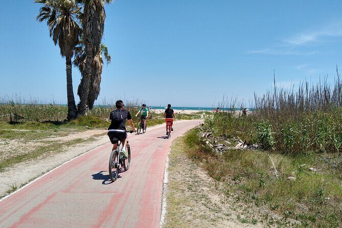 Albufera Highlights Loop Bike Tour with Boat Trip & Paella - Authentic Experiences and Insights from Reviewers