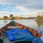 Albufera Natural Park Tour with Boat Ride from Valencia - Transportation and Guides: Making the Trip Comfortable and Informative