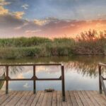 Albufera Natural Park with a Boat Tour from Valencia - FAQ