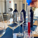 Alcamo: Create your personal blend of wine - Practical Details and Value