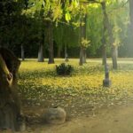 Alcazar and Cathedral Combo Tour - Why This Tour Offers Great Value