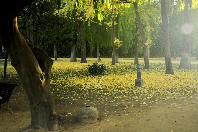 Alcazar and Cathedral Combo Tour - Why This Tour Offers Great Value