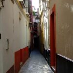 Alcázar and Jewish Quarter Guided Walking Tour in Seville - The Sum Up