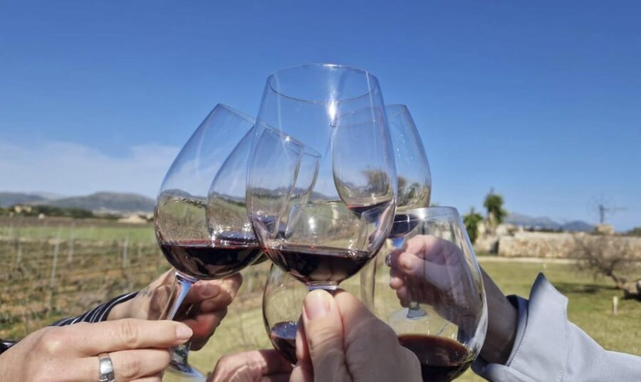 Alcúdia/Can Picafort: Guided Vineyard Visit and Wine Tasting - Authentic Insights from Reviewers