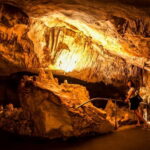 Alcudia: Caves of Drach Tour from the North with Boat Trip - Transportation and Group Dynamics