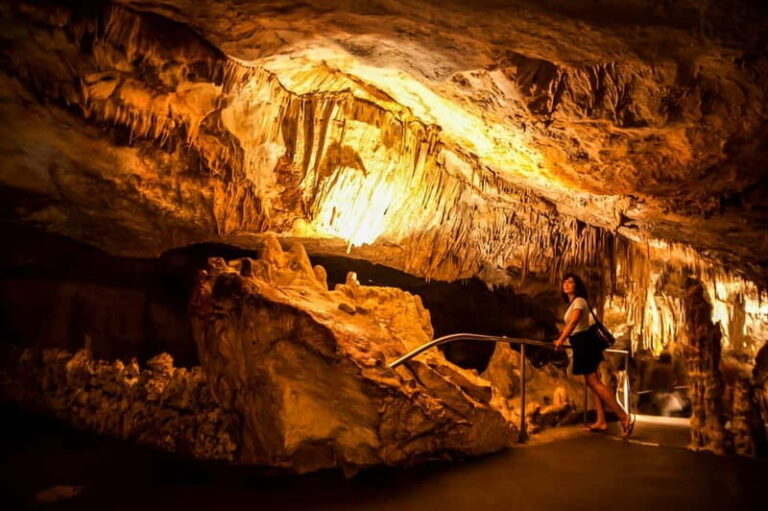 Alcudia: Caves of Drach Tour from the North with Boat Trip - Transportation and Group Dynamics