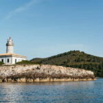 Alcudia or Can Picafort: Dolphin-Watching Cruise - The Real Value: Why This Tour Excels