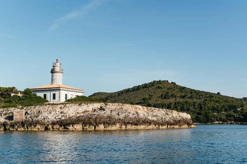Alcudia or Can Picafort: Dolphin-Watching Cruise - The Real Value: Why This Tour Excels