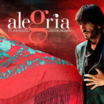 Alegria Flamenco in Malaga, with Transfer, Cocktail and Premium Location - A Deep Dive into the Flamenco Experience in Malaga