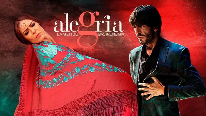 Alegria Flamenco in Malaga, with Transfer, Cocktail and Premium Location - A Deep Dive into the Flamenco Experience in Malaga