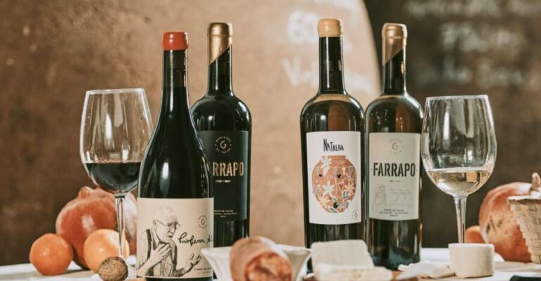 Alentejo: Visit and Taste the tradition of Talha Wines - Practical Details and Tips