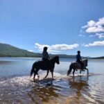 Ålesund: Sunnmøre Horseback Riding Tour with Guide - An In-Depth Look at the Sunnmøre Horseback Riding Tour