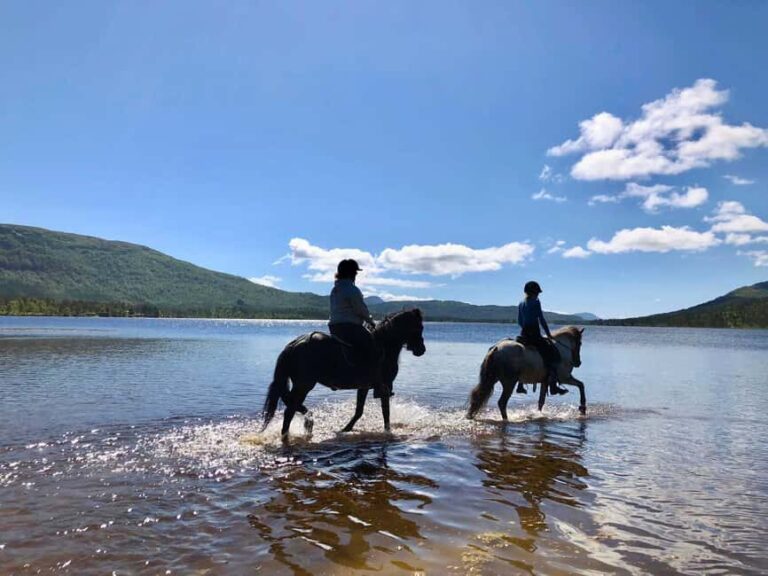 Ålesund: Sunnmøre Horseback Riding Tour with Guide - An In-Depth Look at the Sunnmøre Horseback Riding Tour