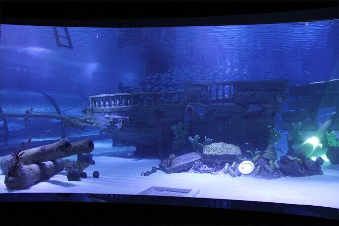 Alexander Waterfall and Antalya Aquarium Day Tour from Side - In-Depth Look at the Itinerary