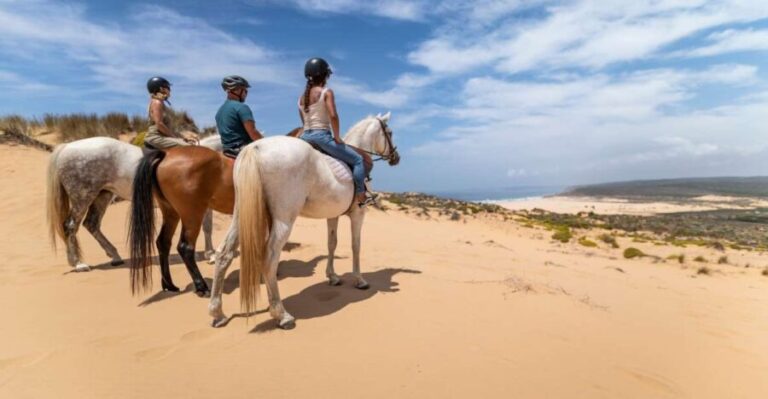 Algarve: 1-Hour Carrapateira Horseback Riding Tour - The Practical Details
