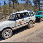 Algarve: 4x4 Safari Tour - from Coastal Wonders to Rural Treasures - The Experience We Loved and What to Consider