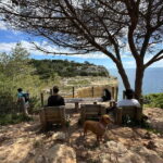 Algarve: 7 Seven Hanging Valley Hike Tour- Photos & Transfer - Final Thoughts: Who Should Consider This Tour?