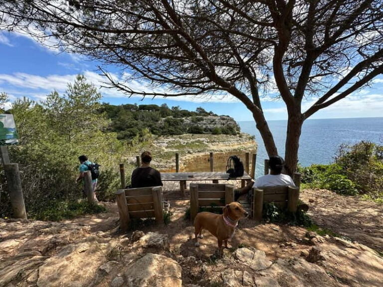 Algarve: 7 Seven Hanging Valley Hike Tour- Photos & Transfer - Final Thoughts: Who Should Consider This Tour?