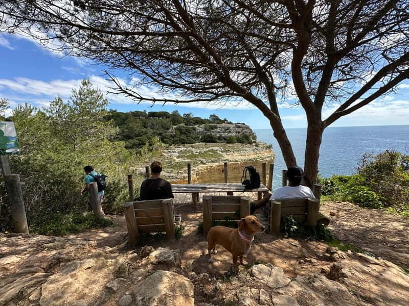 Algarve: 7 Seven Hanging Valley Hike Tour- Photos & Transfer - Final Thoughts: Who Should Consider This Tour?