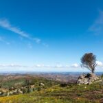 Algarve a la Carte - The Food and the Value