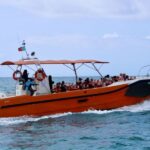 Algarve: Benagil Caves Open Speedboat Tour - Final Thoughts