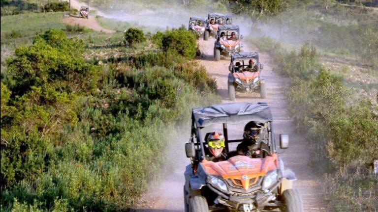 Algarve Buggy Tours - A Deep Dive into Algarve Buggy Tours
