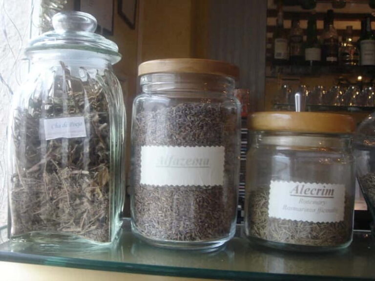 Algarve: Flavors and Traditions Tour - Final Thoughts