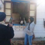 Algarve Half Day Jeep Safari (PRIVATE TOUR) - The Value Proposition