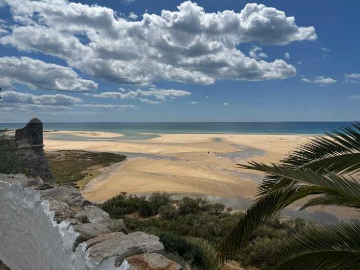 Algarve, Lisbon; V.I.P. Women's road trip with female guide - Transportation and Comfort