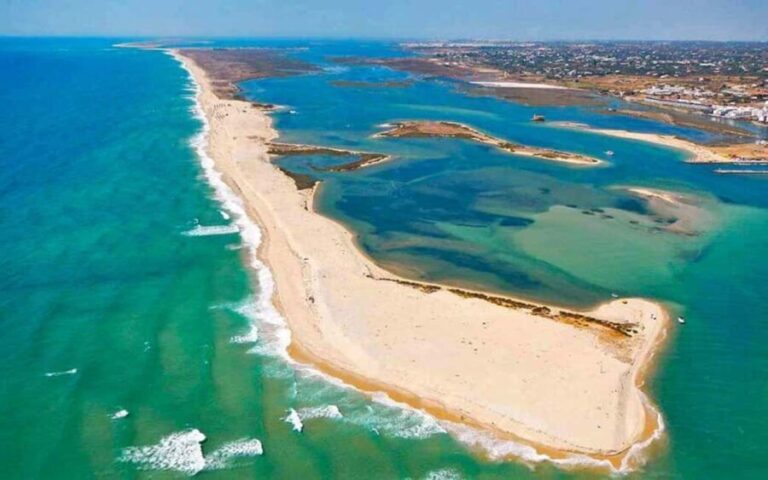 Algarve: Olhão Highlights Tour and Ria Formosa Boat Trip - What Makes This Tour Stand Out?