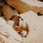 Algarve: Private Vacation Photoshoot with a Local - What to Expect from the Photoshoot