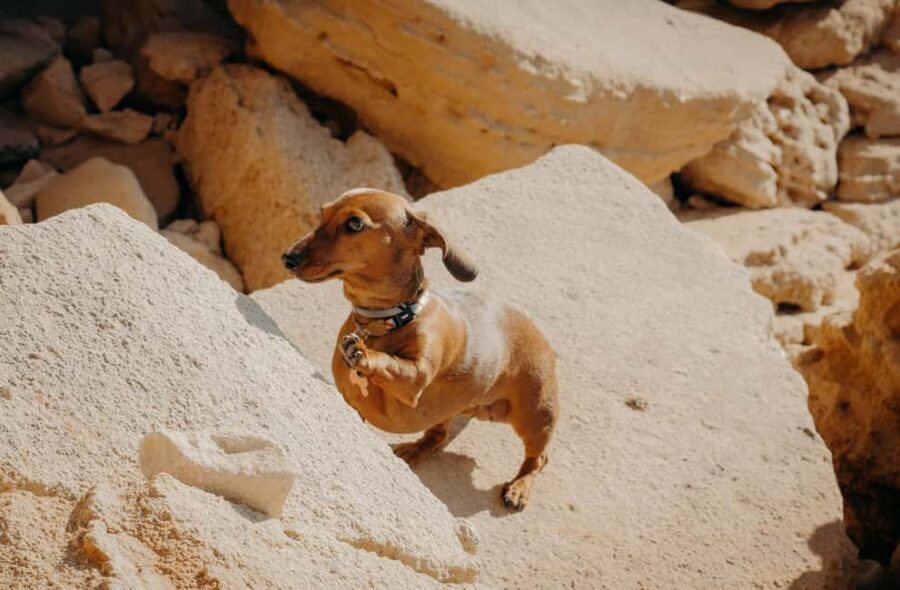 Algarve: Private Vacation Photoshoot with a Local - What to Expect from the Photoshoot