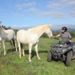 Algarve - The best views from Alvor to Ferragudo by ATV - Authentic Experiences and Insights from Reviewers