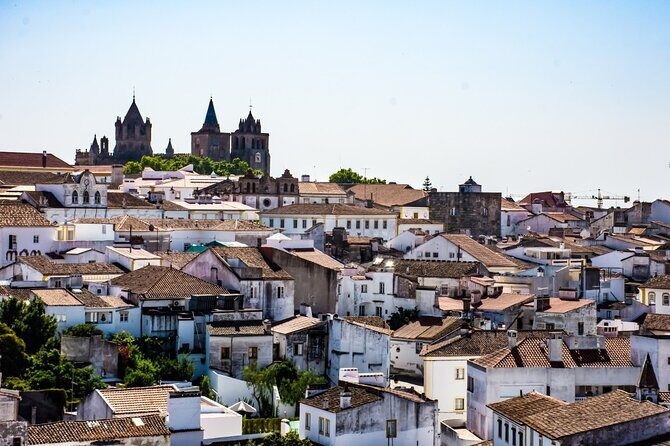 Algarve to Lisbon with stop at Évora, Bones Chapel and Cork factory - Final Thoughts: Who Should Book This Tour?