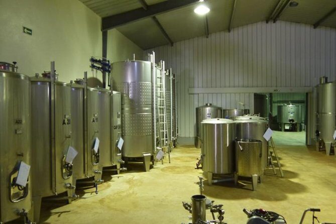 Algarve wine tour and farmer's lunch at wine estate - Frequently Asked Questions