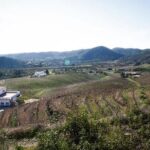 Algarve Wine Tour of Two Wine Estates - The Itinerary in Detail