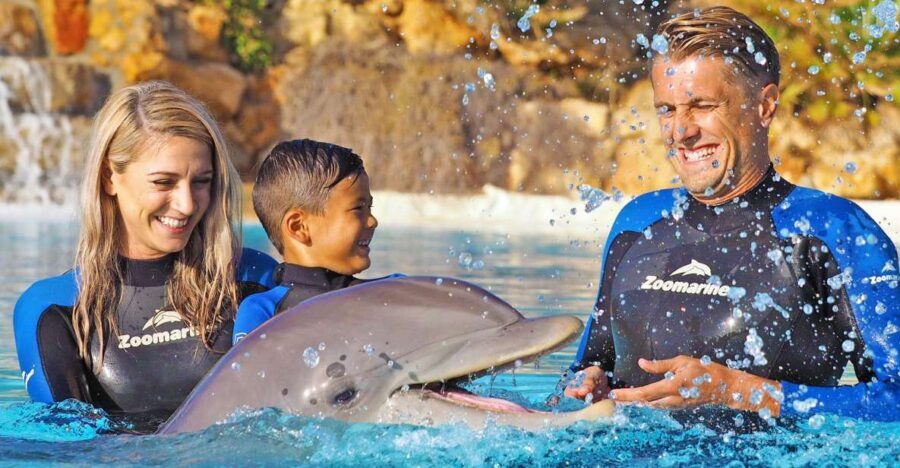 Algarve Zoomarine Ticket and Dolphin Emotions Experience - An In-Depth Look at the Dolphin Emotions Experience