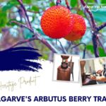 ALGARVE'S ARBUTUS BERRY TRAIL - The Overall Experience: What Makes It Special?
