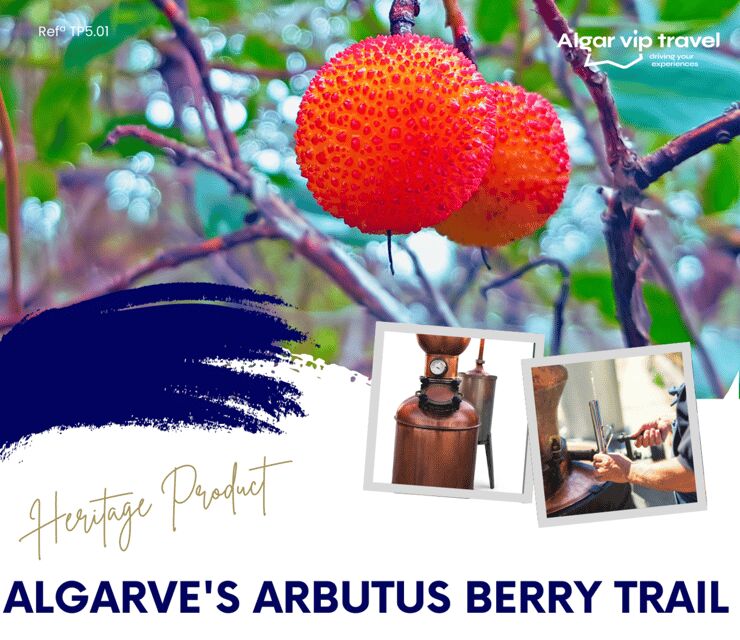 ALGARVE'S ARBUTUS BERRY TRAIL - The Overall Experience: What Makes It Special?