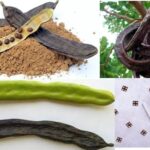 ALGARVE'S CAROB TRAIL - Final Thoughts: Who Will Love This Tour?