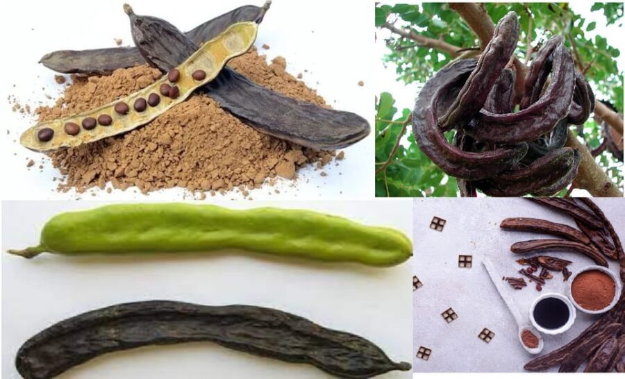 ALGARVE'S CAROB TRAIL - Final Thoughts: Who Will Love This Tour?