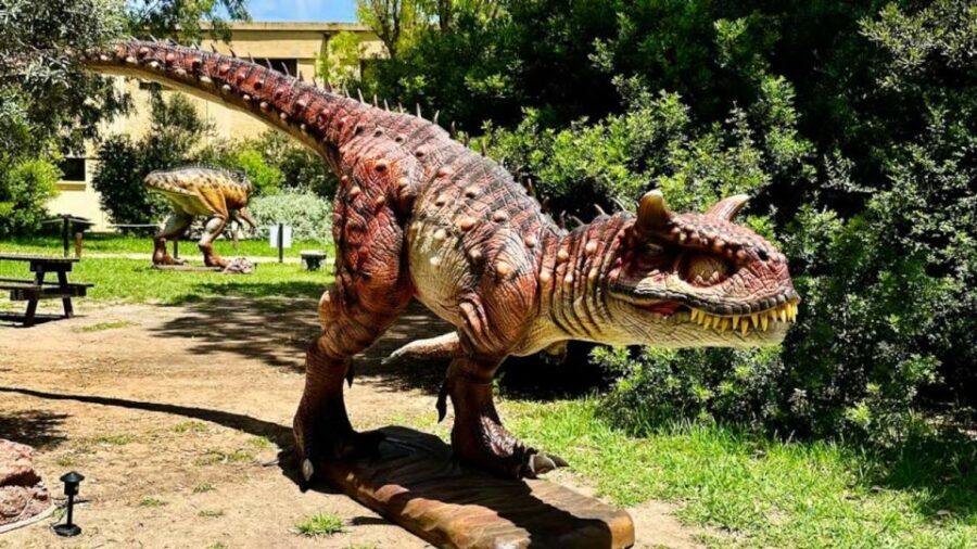 Alghero: Discover dinosaurs in Porto Conte Park - Discovering Sardinia’s Long Past