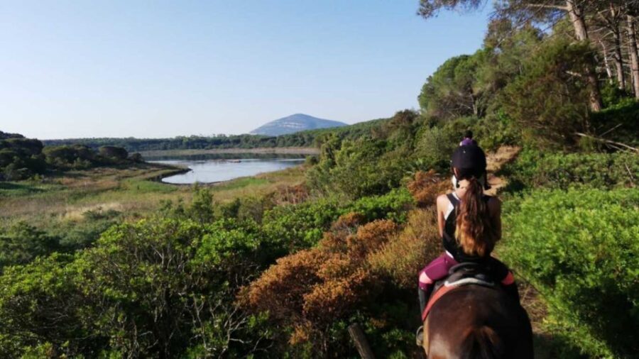 Alghero: Lake Baratz Guided Horseback Ride - Who Is This Tour Best Suited For?