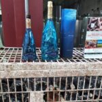 Alghero: private sightseeing & wine experience - The Experience: What You Can Expect