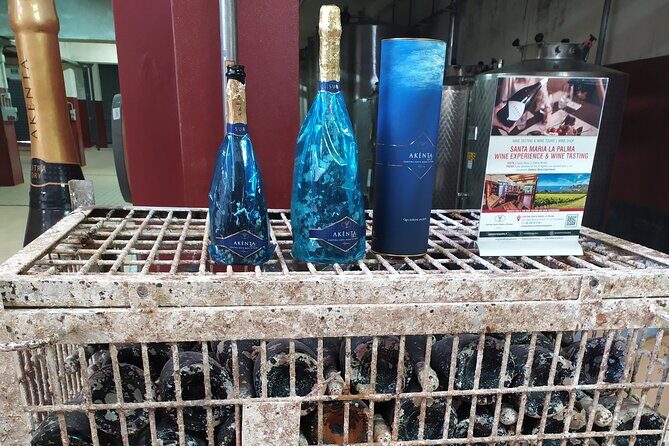 Alghero: private sightseeing & wine experience - The Experience: What You Can Expect