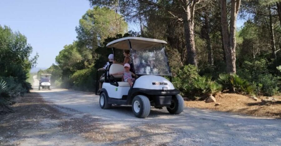 Alghero: sunset sailing tour from Fertilia - Who Should Consider This Tour?