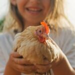 Alghero: visit an animal shelter in Olmedo - Who Will Love This Tour?