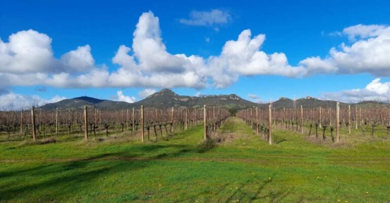 Alghero: wine tasting w/ local aperitif in the vineyard - FAQ