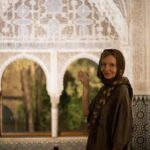 Alhambra Day or Night Private Tour - Practical Details and Tips